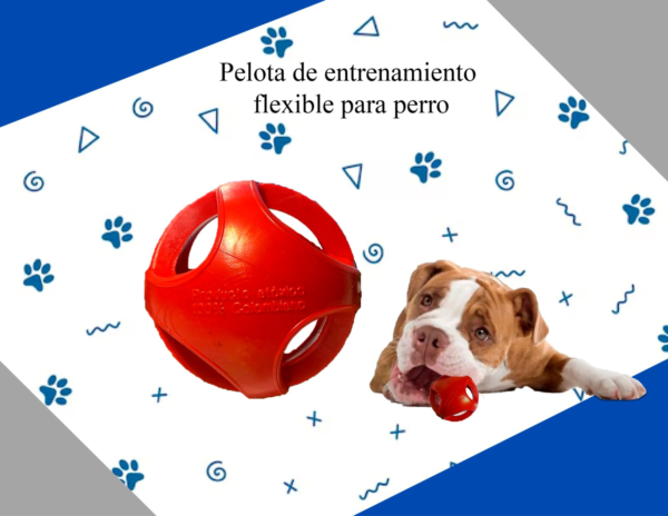 Pelota  Grande para Mascotas