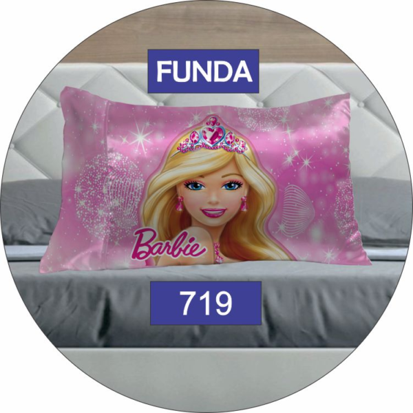FUNDAS ALMOHADAS EN SATIN
